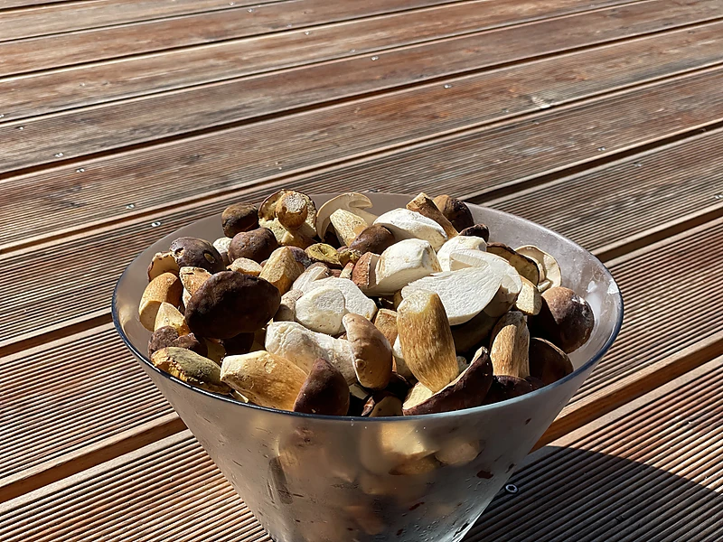 A bowl of picked mushrooms