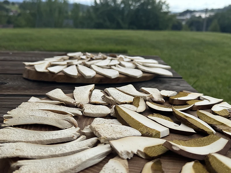 Dried mushrooms