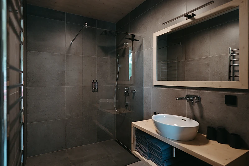 Bathroom with a walk-in shower