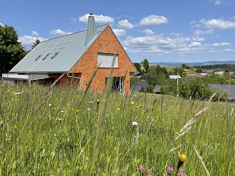 Chalet Bledule on the meadow above Roprachtice