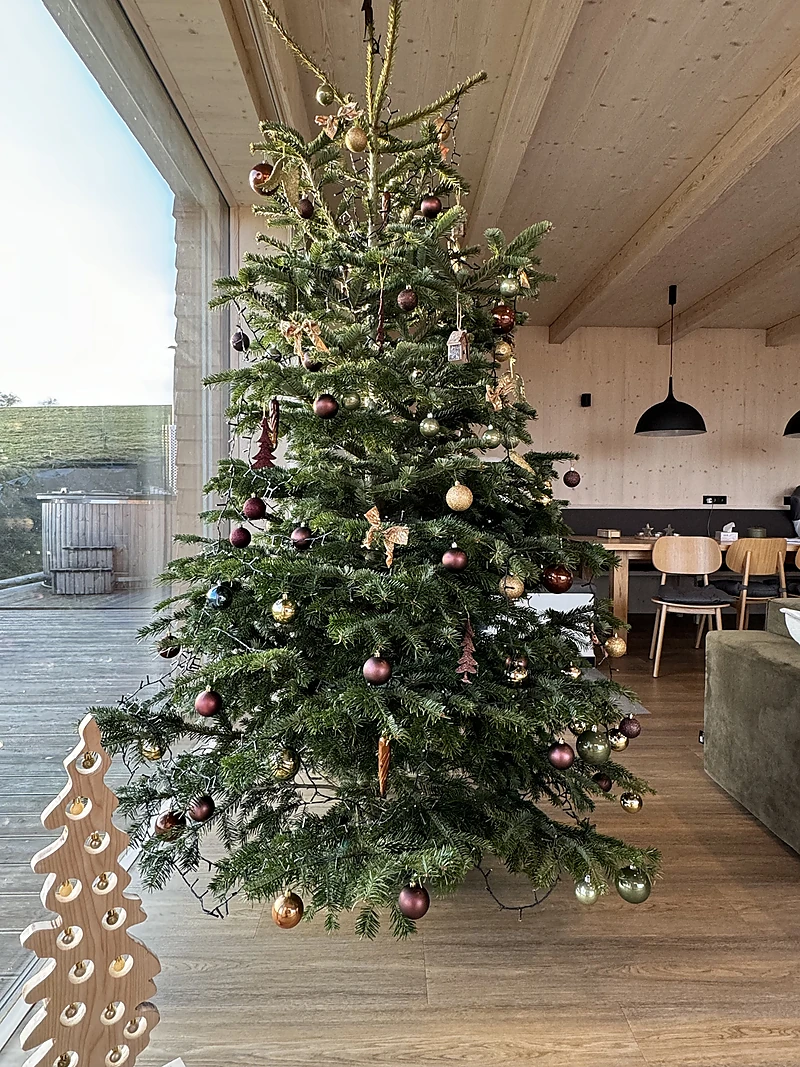 Christmas tree in the living room