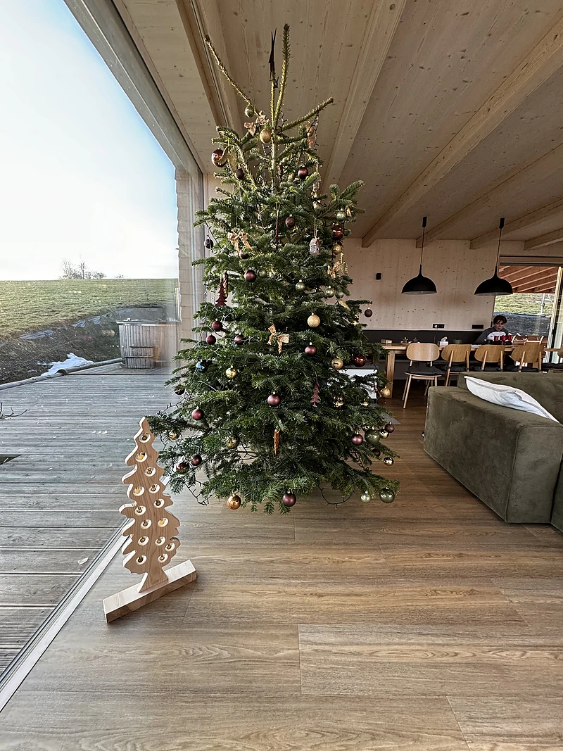 Christmas tree by the glass wall