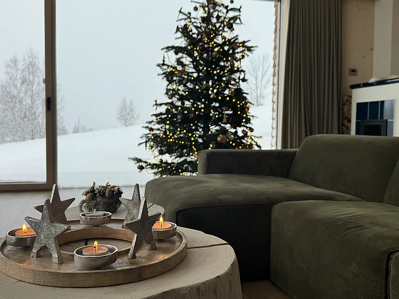 Christmas tree against the snowy landscape outside